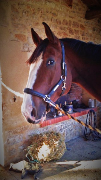 Photo de profil de aliceetulou
