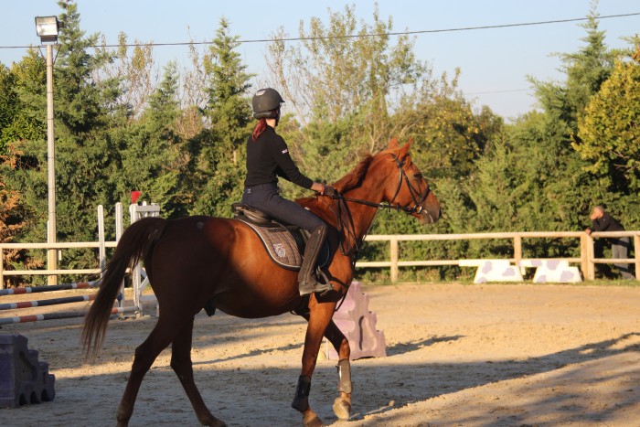 Photo de profil de alicerlcdmr