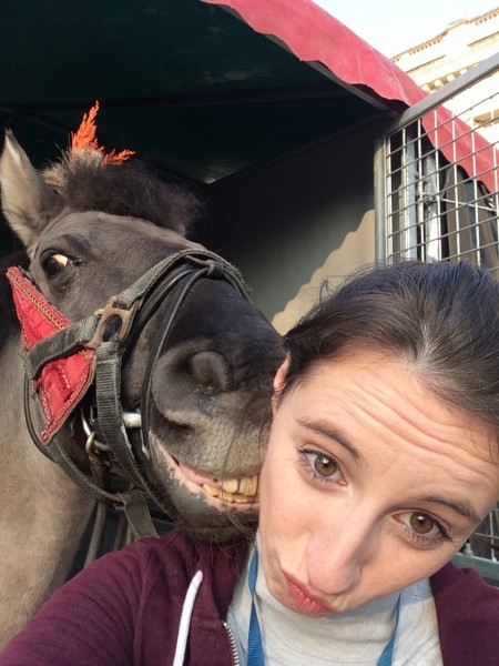 Photo de profil de aliciab