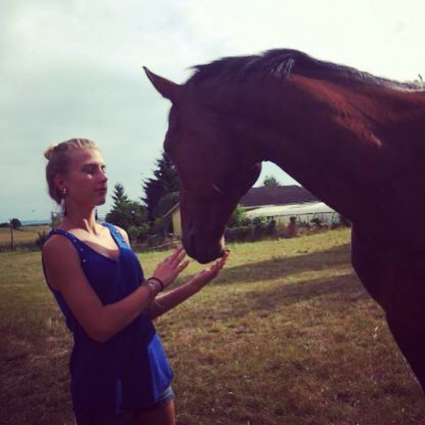 Photo de profil de alicorne