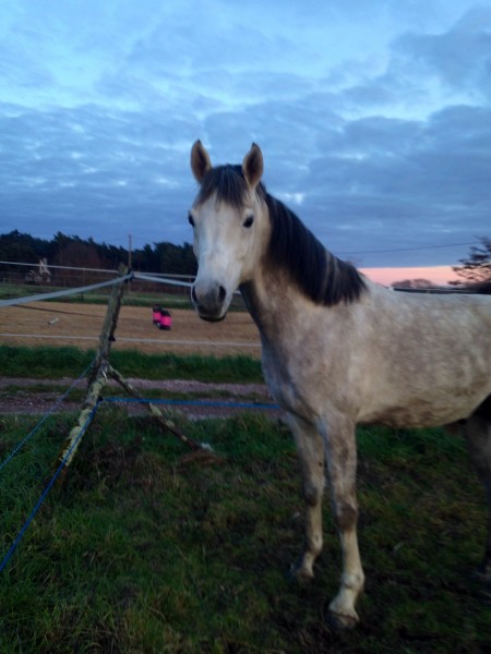 Photo de profil de alicrew