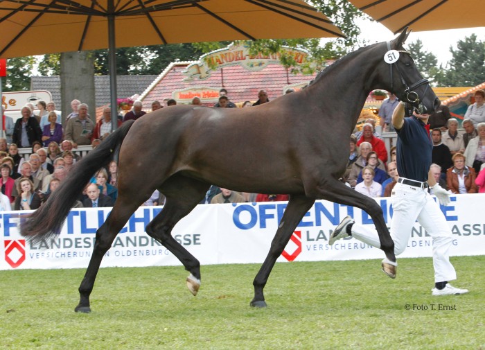 Photo de profil de alinghi