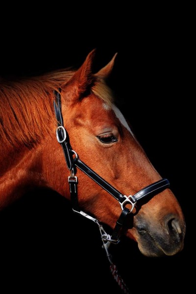 Photo de profil de alixjp