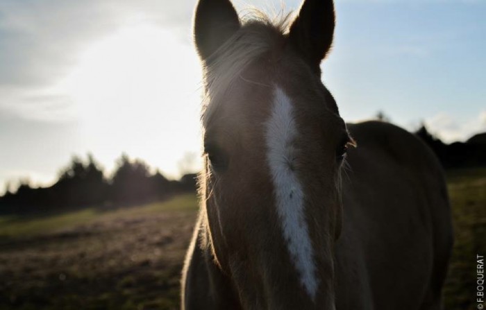 Photo de profil de alizeequasar