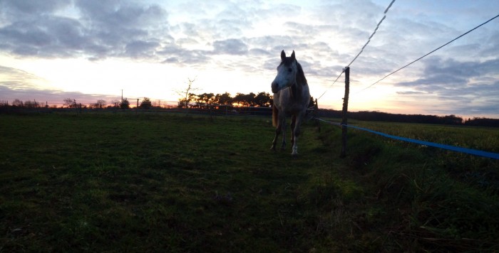 Photo de profil de alizzle