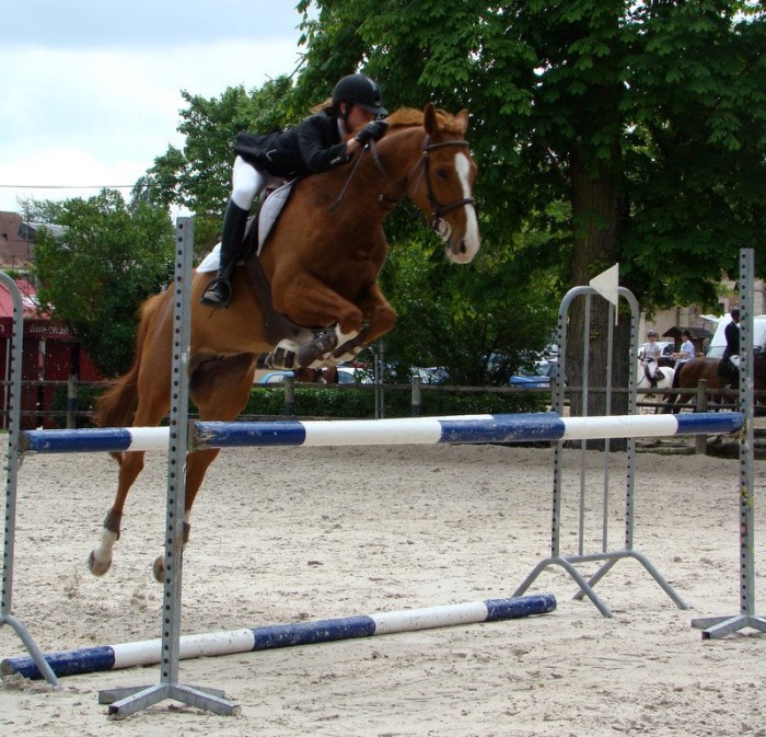 Photo de profil de allayaud