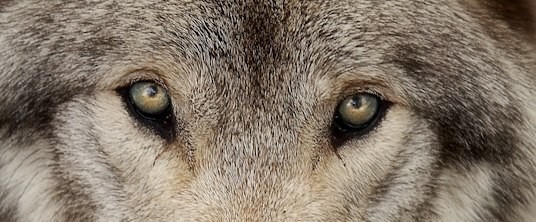 Photo de profil de alllegre