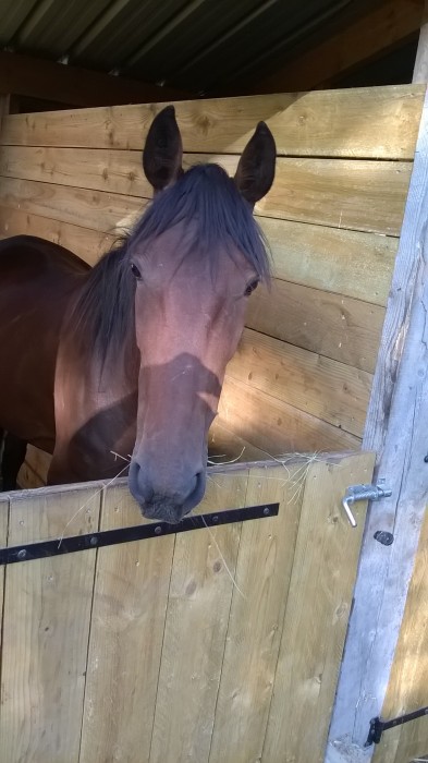 Photo de profil de alluredamour