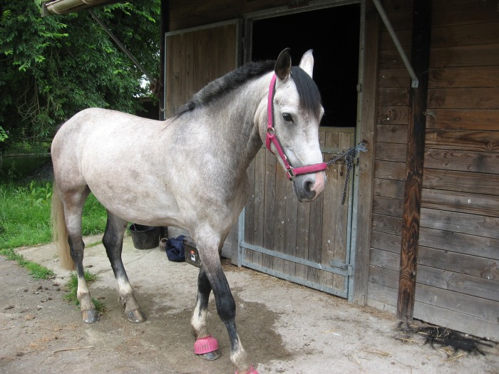 Photo de profil de aman1307