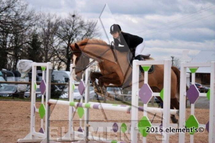 Photo de profil de amandinec21