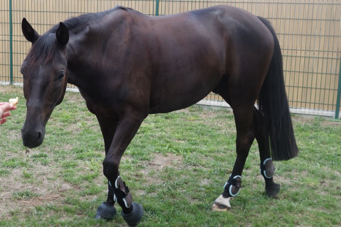 Photo de profil de amarok2102