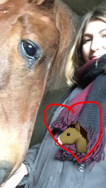 Photo de profil de ambre.bouillot