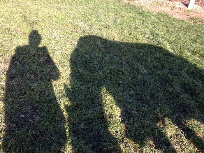 Photo de profil de ambre.freb