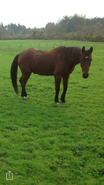 Photo de profil de ame5601