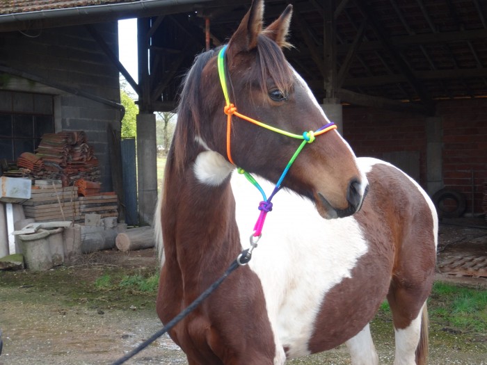 Photo de profil de ana81
