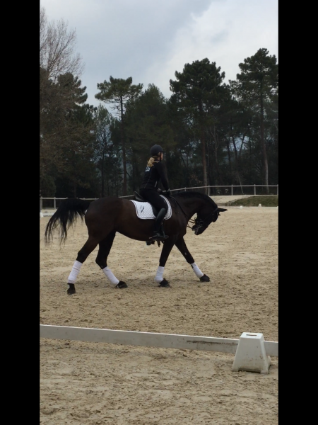 Photo de profil de anaellecheval