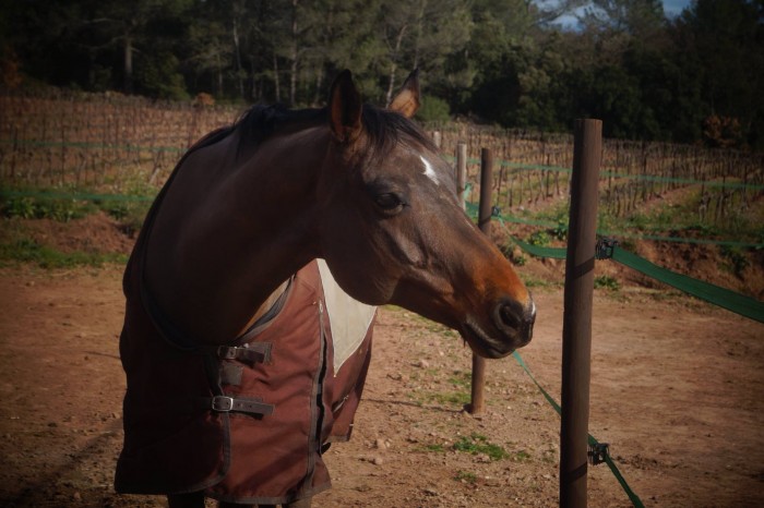 Photo de profil de anaisquaramba