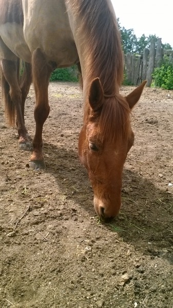 Photo de profil de anais.tags