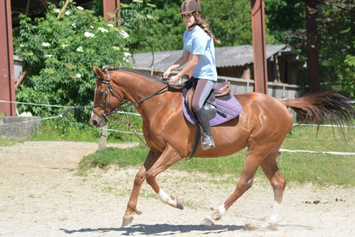 Photo de profil de ana.zmr