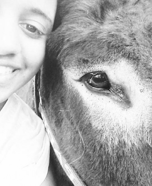 Photo de profil de ane_donkey