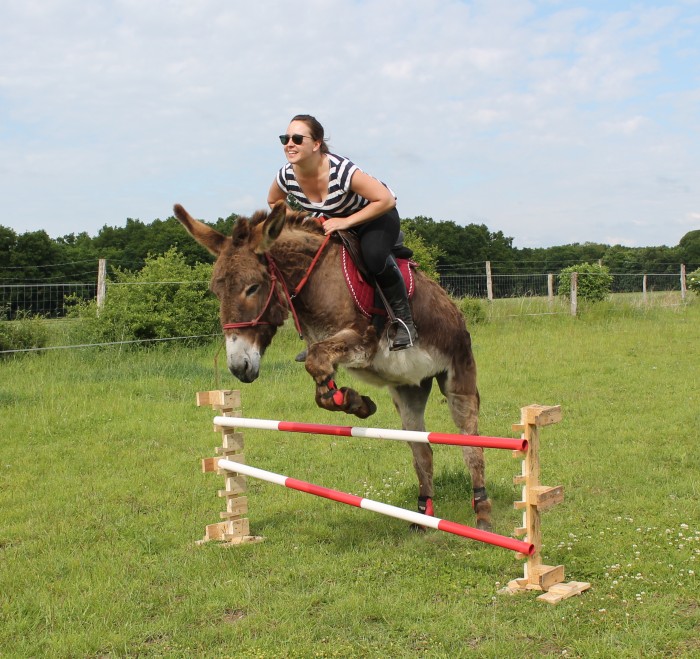 Photo de profil de anesvictoires