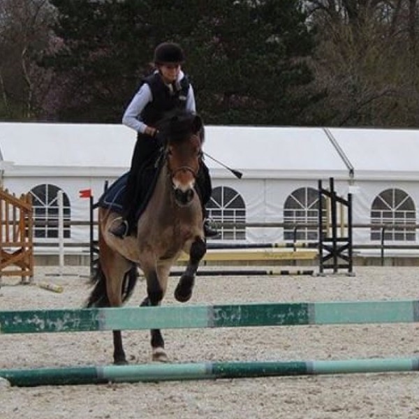 Photo de profil de angedecheval