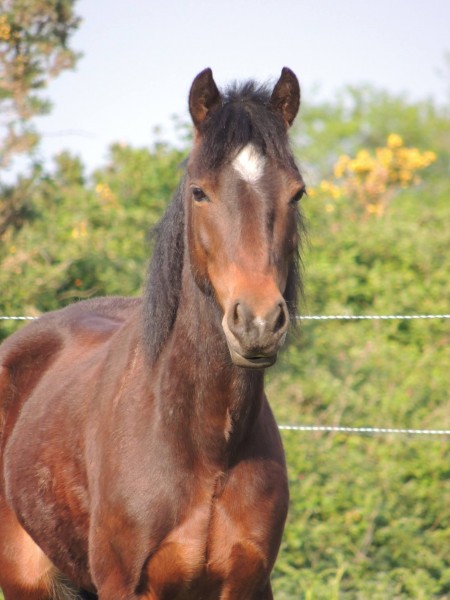 Photo de profil de angeelequi