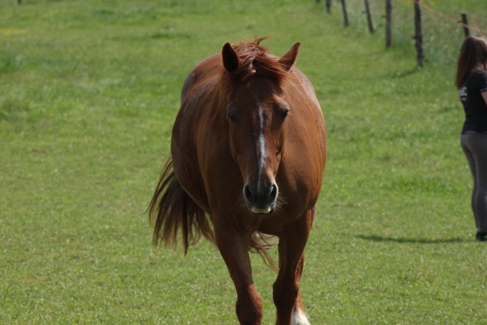 Photo de profil de angel26260