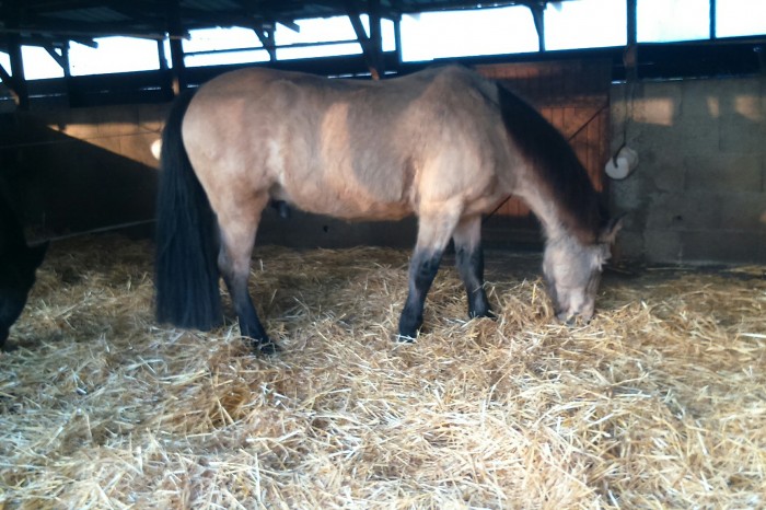 Photo de profil de angeliquetonton