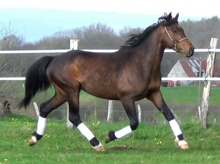 Photo de profil de angie25