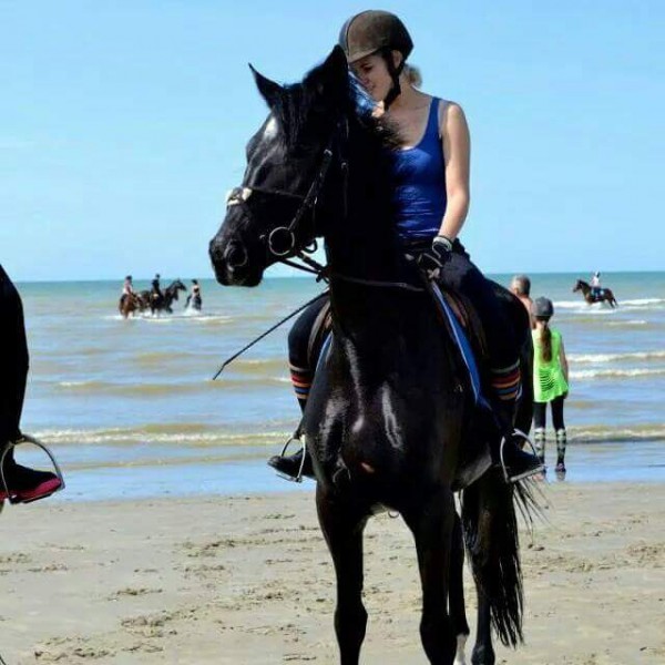 Photo de profil de annatalbot