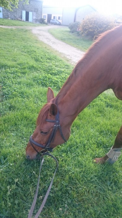 Photo de profil de antares31