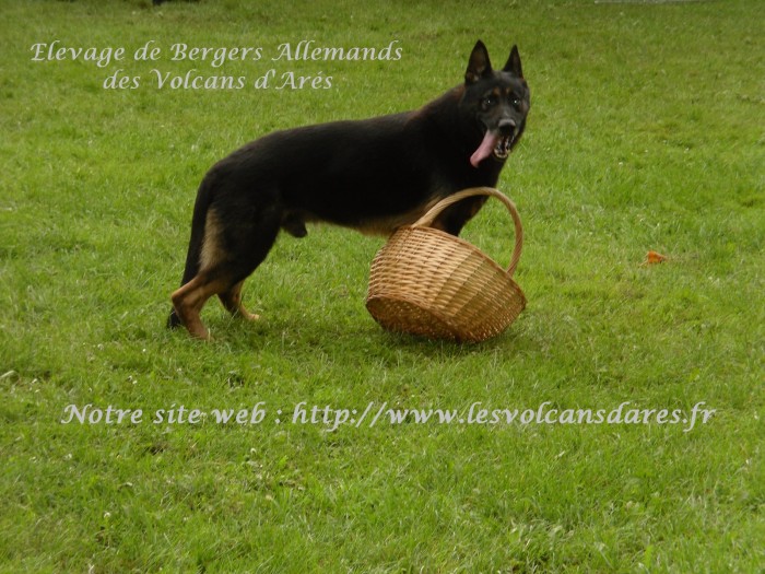 Photo de profil de ares59
