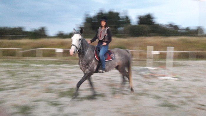 Photo de profil de ariadne