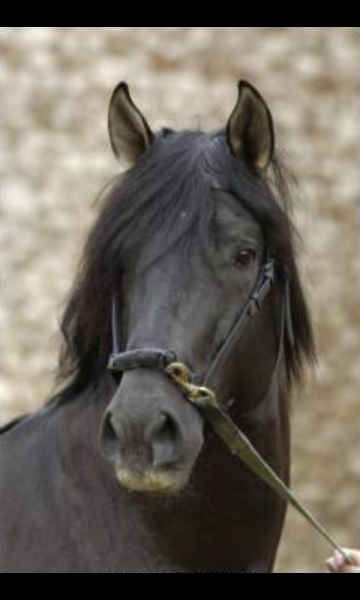 Photo de profil de ariane57000