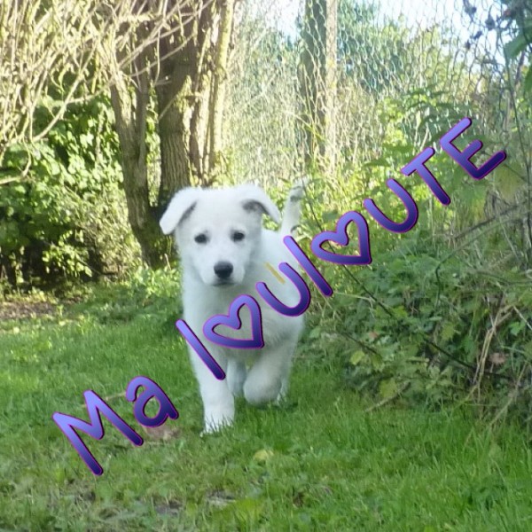 Photo de profil de arielle1608