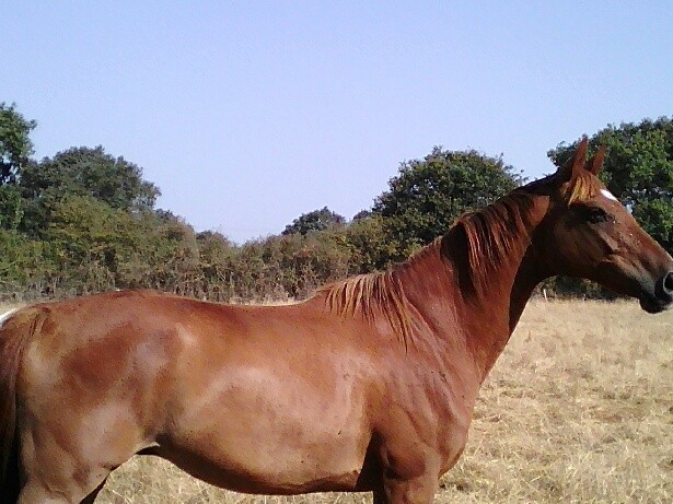 Photo de profil de arine17