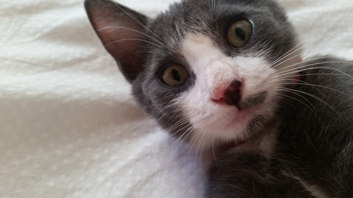 Photo de profil de arya767