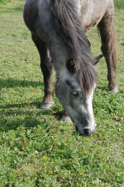 Photo de profil de atchoum44