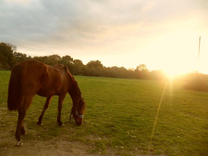 Photo de profil de athena0704