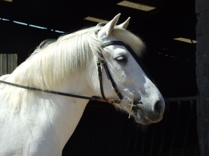 Photo de profil de attor57