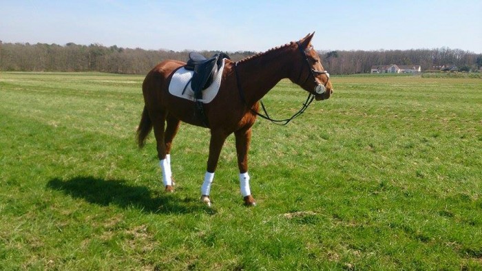 Photo de profil de audreylct