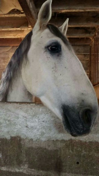 Photo de profil de audrey.m