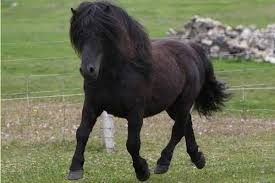 Photo de profil de auraien