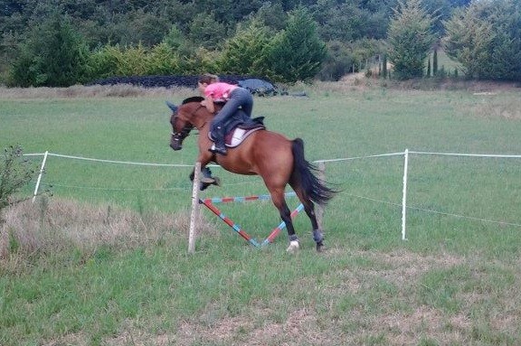 Photo de profil de aurelie.equit