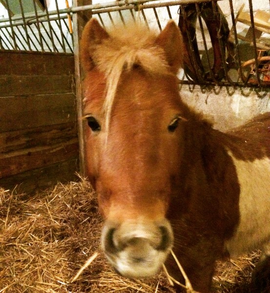 Photo de profil de aurelie.scott