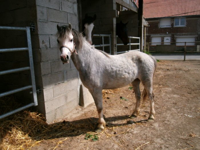 Photo de profil de aurore86