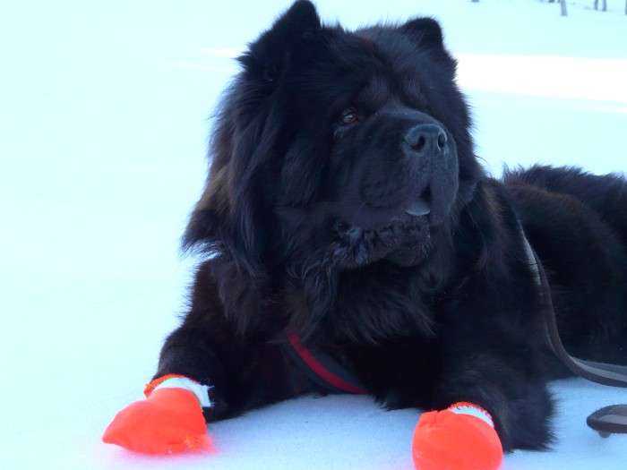 Photo de profil de ayako