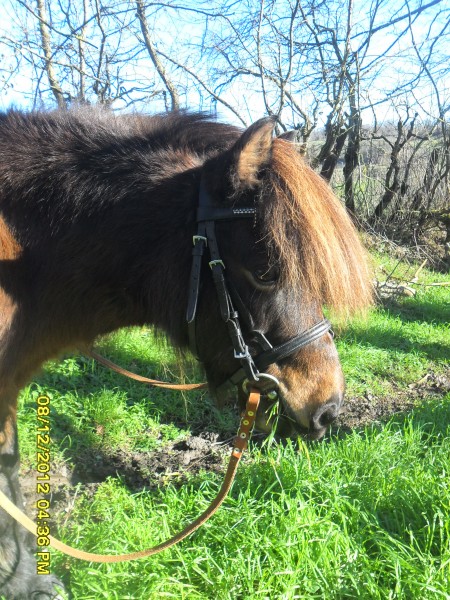 Photo de profil de aylavienne