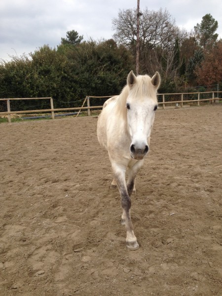 Photo de profil de azar13